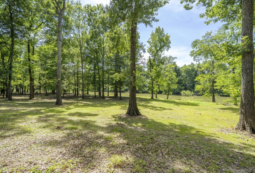 540 TEAL LN, Savannah, Tennessee 38372, ,Land,For Sale,TEAL,10223278