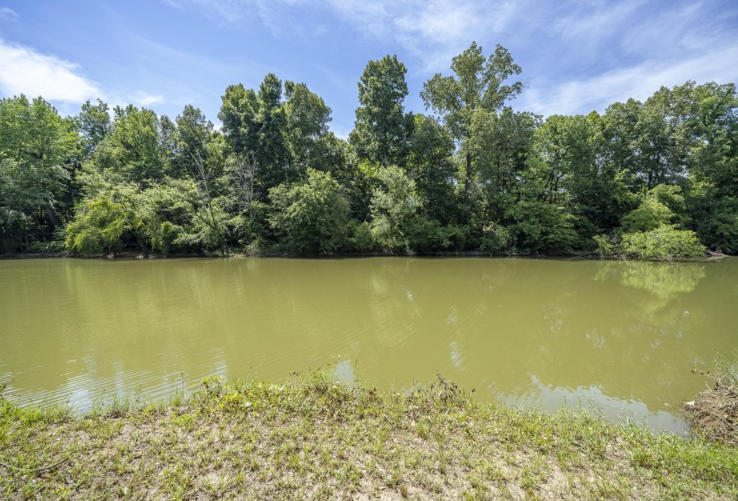 540 TEAL LN, Savannah, Tennessee 38372, ,Land,For Sale,TEAL,10223278