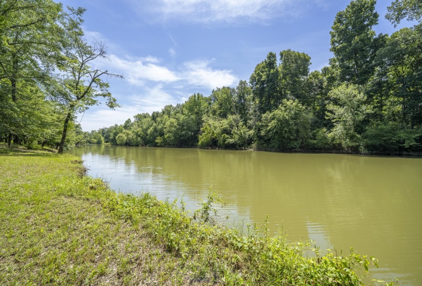 540 TEAL LN, Savannah, Tennessee 38372, ,Land,For Sale,TEAL,10223278