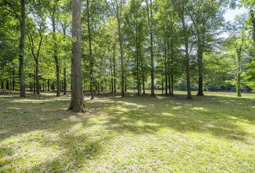 540 TEAL LN, Savannah, Tennessee 38372, ,Land,For Sale,TEAL,10223278