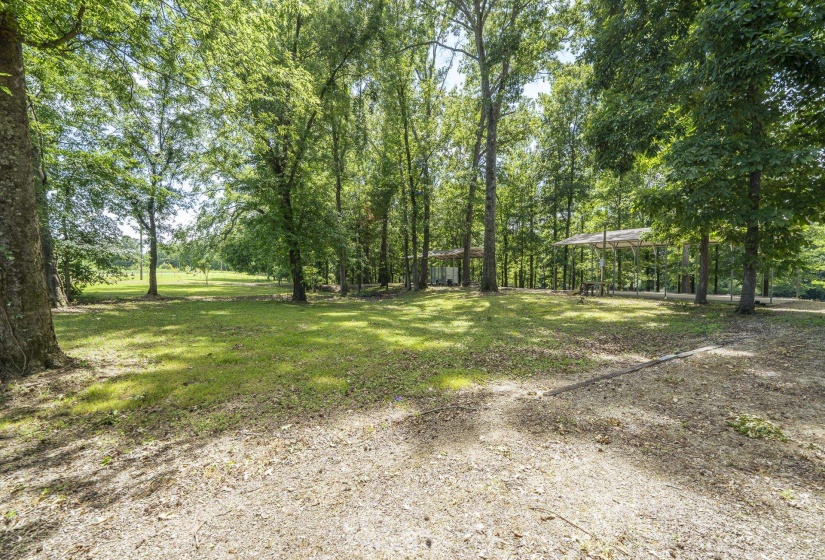 540 TEAL LN, Savannah, Tennessee 38372, ,Land,For Sale,TEAL,10223278