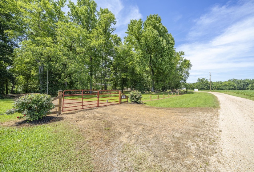 540 TEAL LN, Savannah, Tennessee 38372, ,Land,For Sale,TEAL,10223278