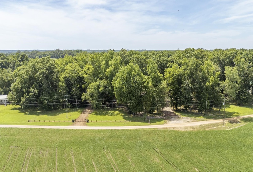 540 TEAL LN, Savannah, Tennessee 38372, ,Land,For Sale,TEAL,10223278
