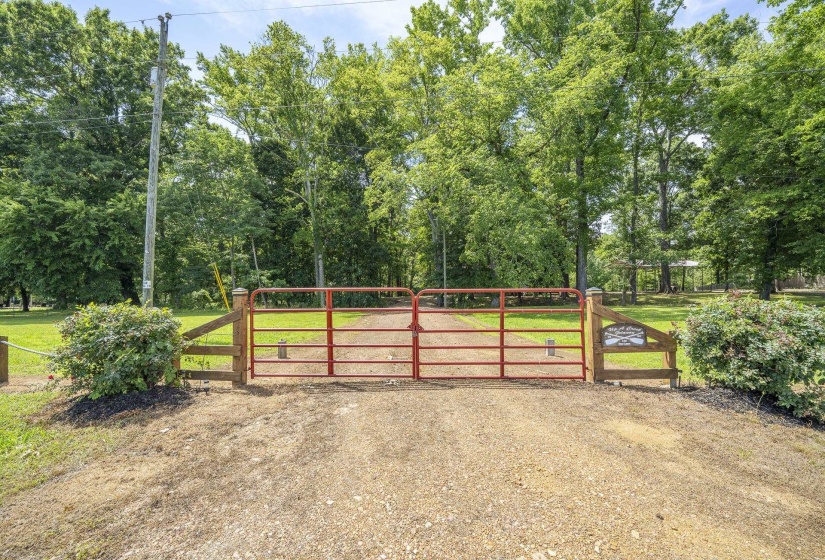 540 TEAL LN, Savannah, Tennessee 38372, ,Land,For Sale,TEAL,10223278