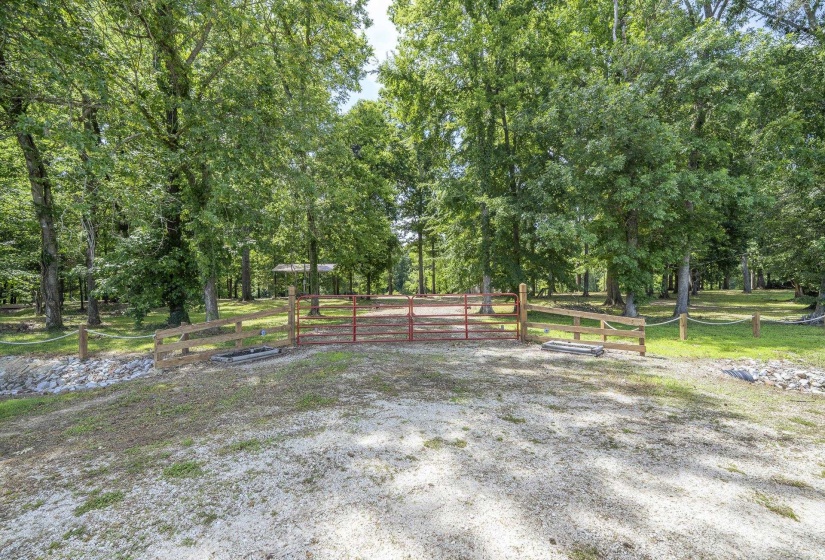540 TEAL LN, Savannah, Tennessee 38372, ,Land,For Sale,TEAL,10223278