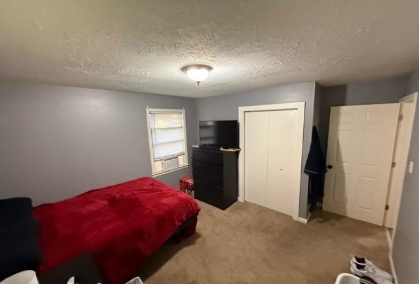 Carpeted room featuring light gray walls and a single window