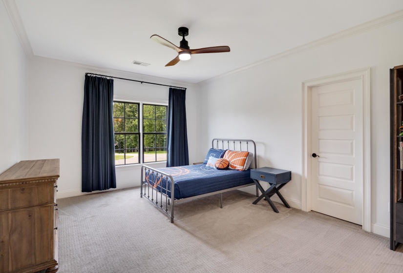 Bright room featuring a large window with black framing, ceiling fan with integrated lighting, crown molding, a five-panel interior door, and soft carpet flooring