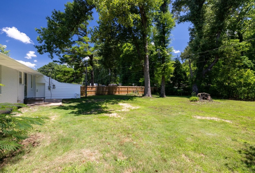 Expansive rear yard featuring a partial wood fence, mature perimeter trees, and a concrete patio