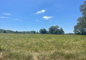 2380 WATKINS DR, Williston, Tennessee 38076, ,Land,For Sale,WATKINS,10223321 2380 WATKINS DR, Williston, Tennessee 38076, ,Land,For Sale,WATKINS,10223321