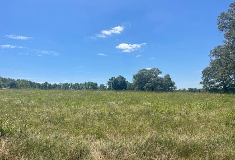 2380 WATKINS DR, Williston, Tennessee 38076, ,Land,For Sale,WATKINS,10223321