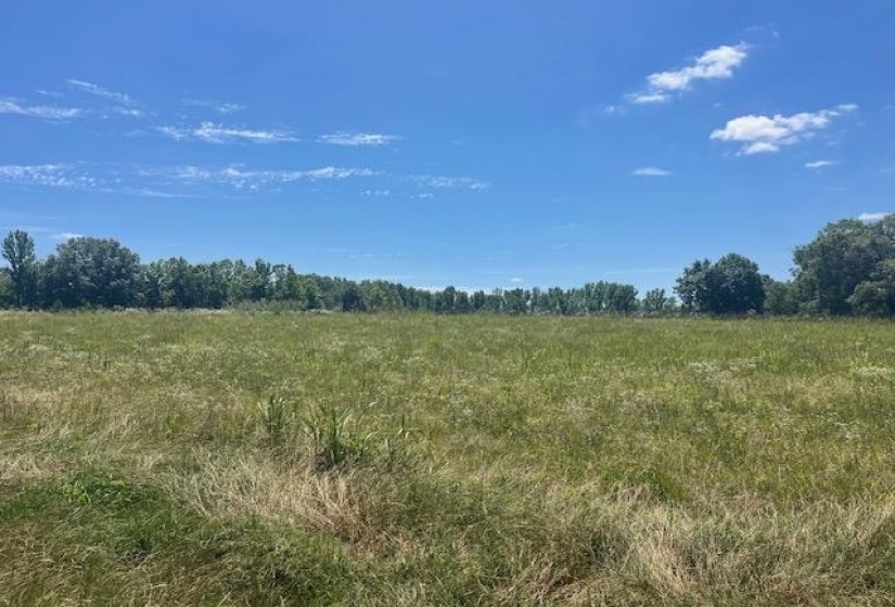 2380 WATKINS DR, Williston, Tennessee 38076, ,Land,For Sale,WATKINS,10223321
