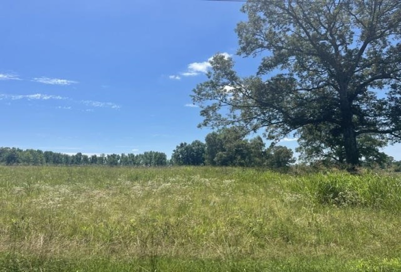 2380 WATKINS DR, Williston, Tennessee 38076, ,Land,For Sale,WATKINS,10223321
