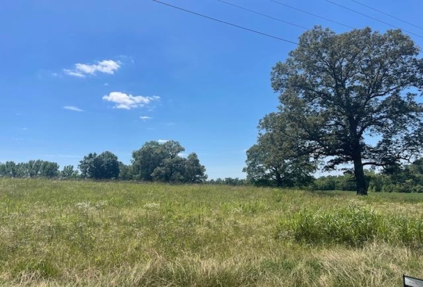 2380 WATKINS DR, Williston, Tennessee 38076, ,Land,For Sale,WATKINS,10223321