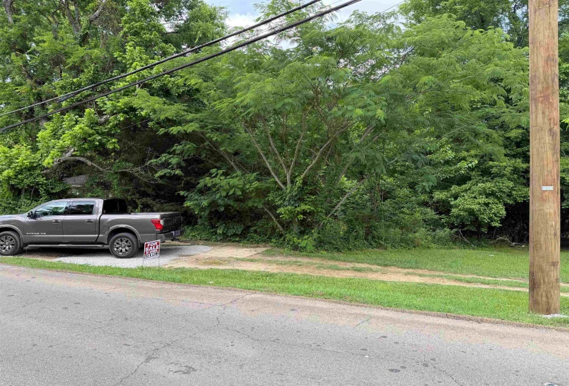 298 LONG ST, Starkville, Mississippi 39759, ,Land,For Sale,LONG,10223333