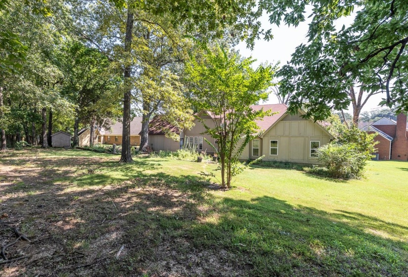 View of grassy yard