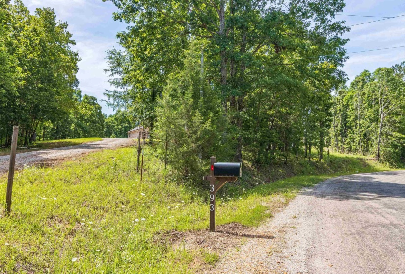 393 FALCON NEW BETHEL RD, Selmer, Tennessee 38375, 4 Bedrooms Bedrooms, 9 Rooms Rooms,2.1 BathroomsBathrooms,Residential,For Sale,FALCON NEW BETHEL,10223335