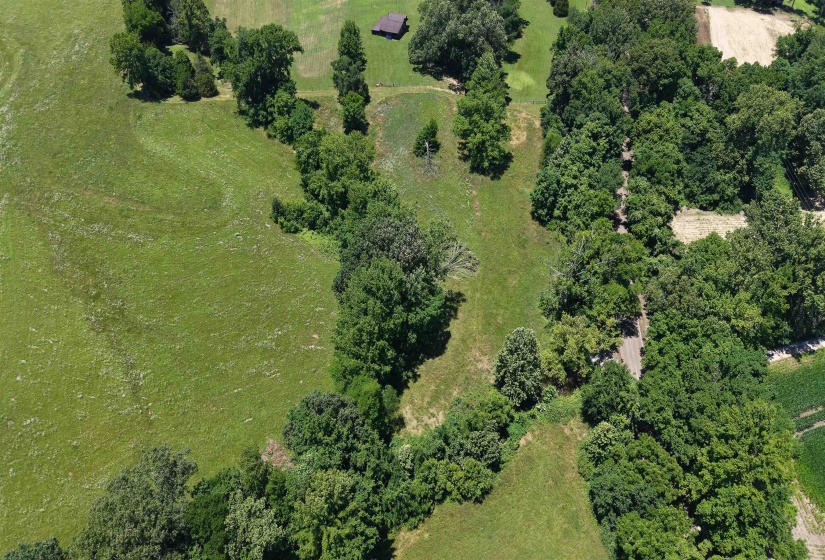 000 HOLLY GROVE RD, Covington, Tennessee 38019, ,Land,For Sale,HOLLY GROVE,10223347