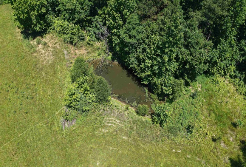 000 HOLLY GROVE RD, Covington, Tennessee 38019, ,Land,For Sale,HOLLY GROVE,10223347