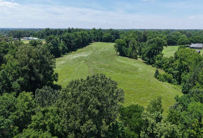 000 HOLLY GROVE RD, Covington, Tennessee 38019, ,Land,For Sale,HOLLY GROVE,10223347