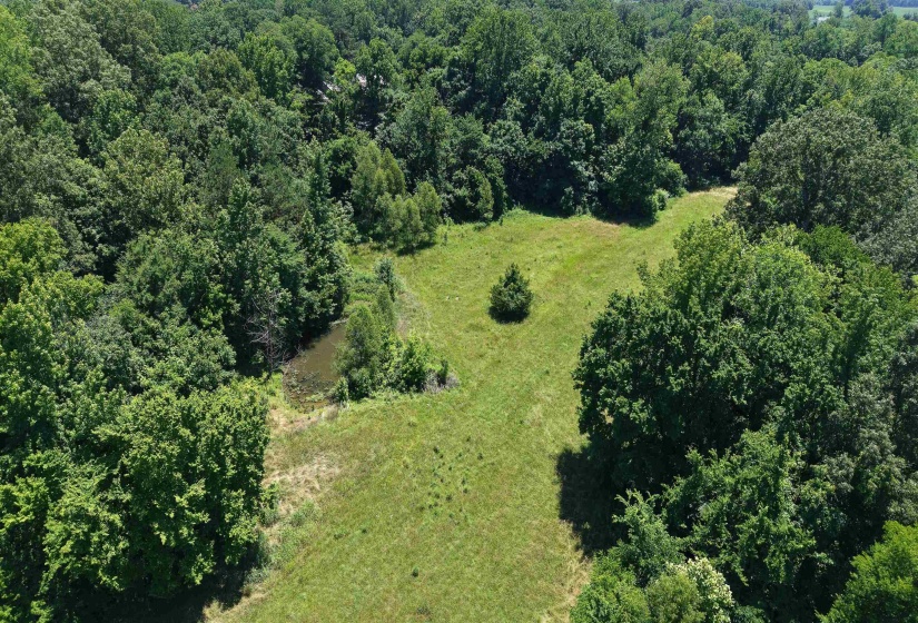 000 HOLLY GROVE RD, Covington, Tennessee 38019, ,Land,For Sale,HOLLY GROVE,10223347