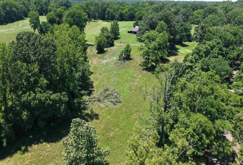 000 HOLLY GROVE RD, Covington, Tennessee 38019, ,Land,For Sale,HOLLY GROVE,10223347
