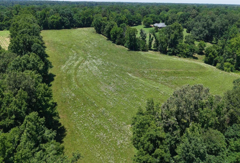000 HOLLY GROVE RD, Covington, Tennessee 38019, ,Land,For Sale,HOLLY GROVE,10223347