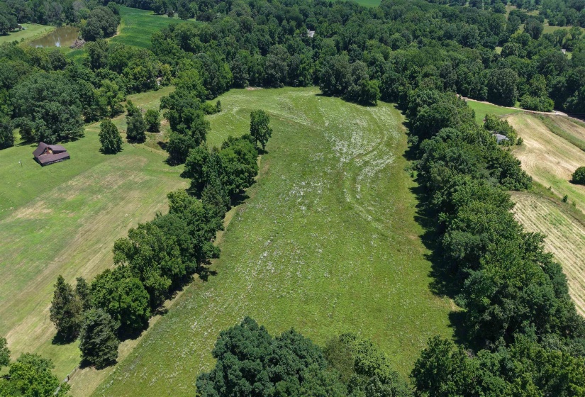 000 HOLLY GROVE RD, Covington, Tennessee 38019, ,Land,For Sale,HOLLY GROVE,10223347