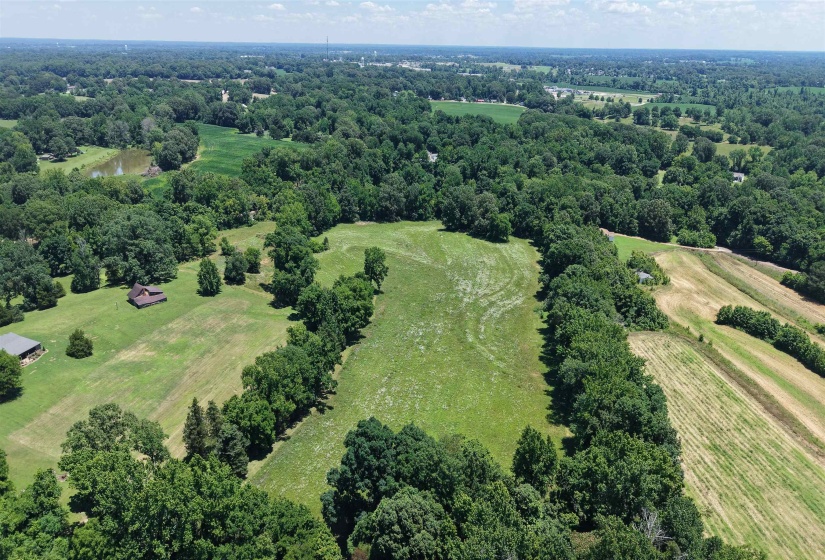 000 HOLLY GROVE RD, Covington, Tennessee 38019, ,Land,For Sale,HOLLY GROVE,10223347