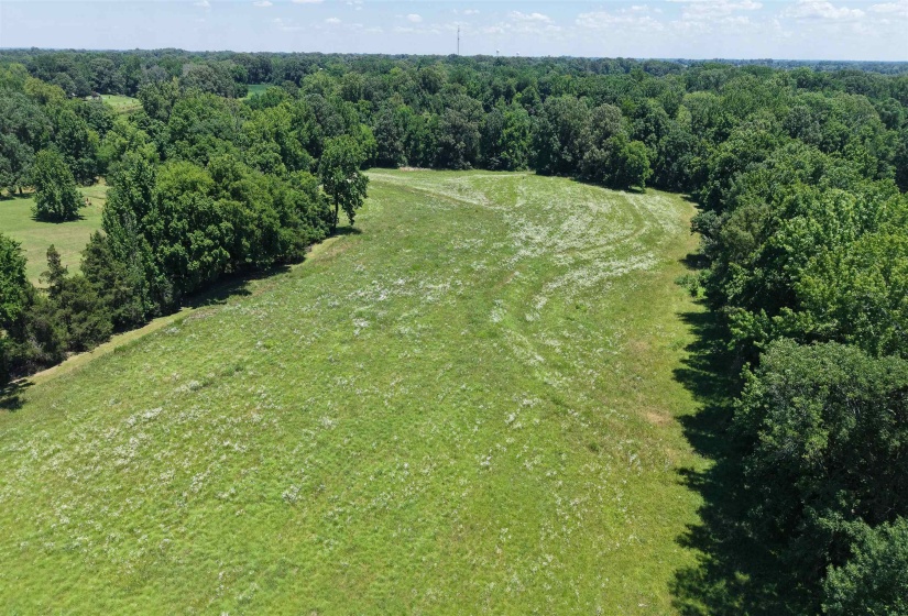 000 HOLLY GROVE RD, Covington, Tennessee 38019, ,Land,For Sale,HOLLY GROVE,10223347