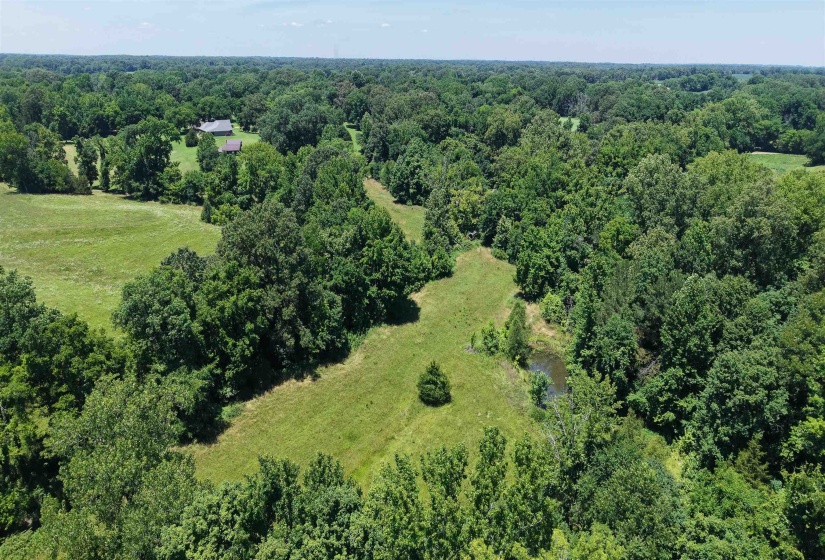 000 HOLLY GROVE RD, Covington, Tennessee 38019, ,Land,For Sale,HOLLY GROVE,10223347