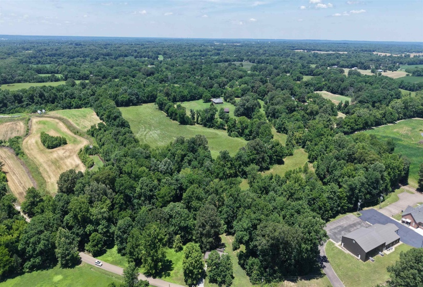 000 HOLLY GROVE RD, Covington, Tennessee 38019, ,Land,For Sale,HOLLY GROVE,10223347