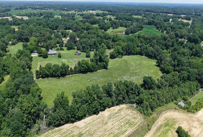000 HOLLY GROVE RD, Covington, Tennessee 38019, ,Land,For Sale,HOLLY GROVE,10223347