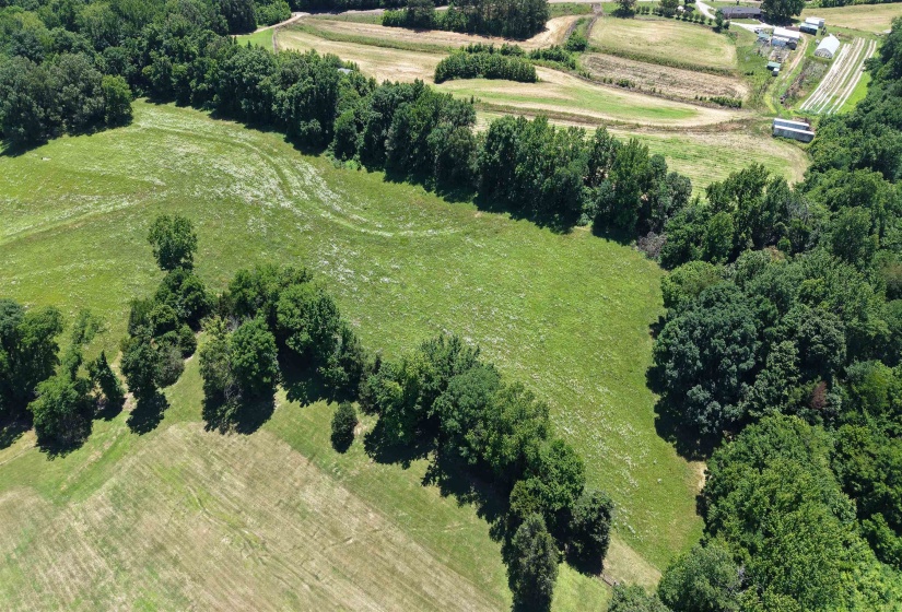 000 HOLLY GROVE RD, Covington, Tennessee 38019, ,Land,For Sale,HOLLY GROVE,10223347
