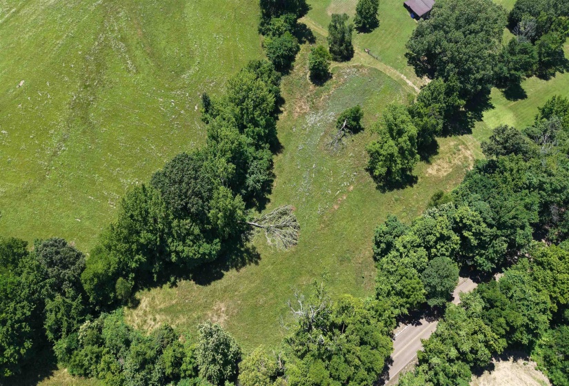 000 HOLLY GROVE RD, Covington, Tennessee 38019, ,Land,For Sale,HOLLY GROVE,10223347