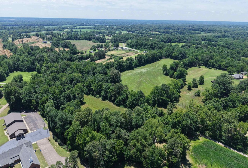 000 HOLLY GROVE RD, Covington, Tennessee 38019, ,Land,For Sale,HOLLY GROVE,10223347