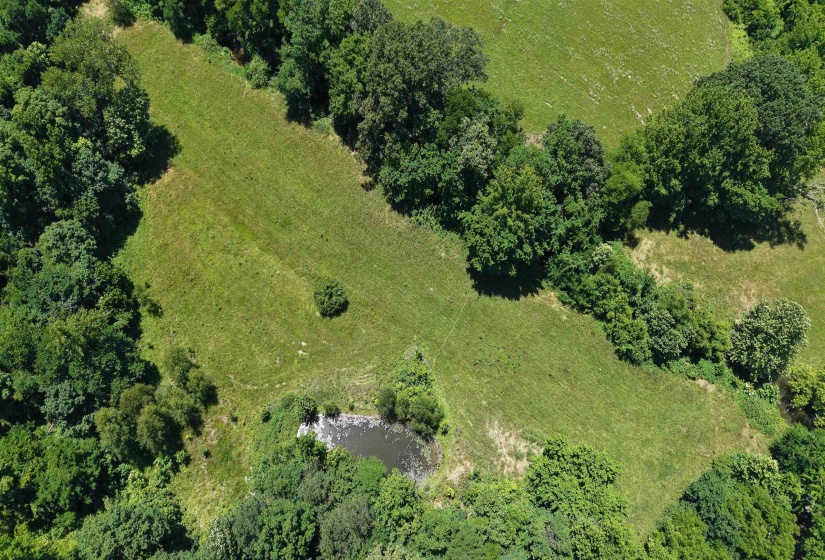 000 HOLLY GROVE RD, Covington, Tennessee 38019, ,Land,For Sale,HOLLY GROVE,10223347