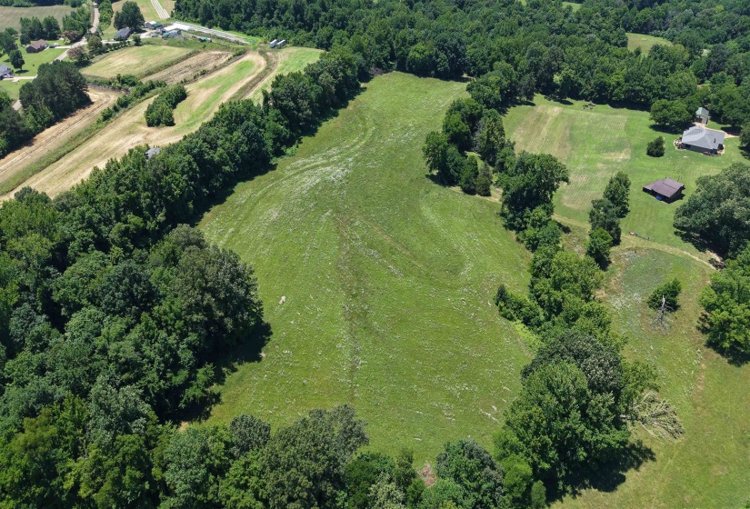 000 HOLLY GROVE RD, Covington, Tennessee 38019, ,Land,For Sale,HOLLY GROVE,10223347