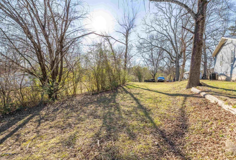 View of grassy yard