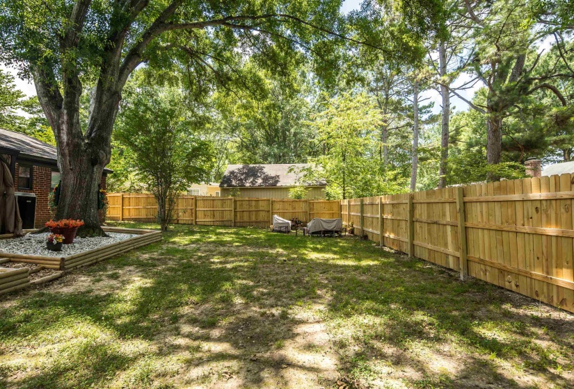 Expansive backyard featuring a new wood privacy fence, mature trees providing shade, and a manicured lawn
