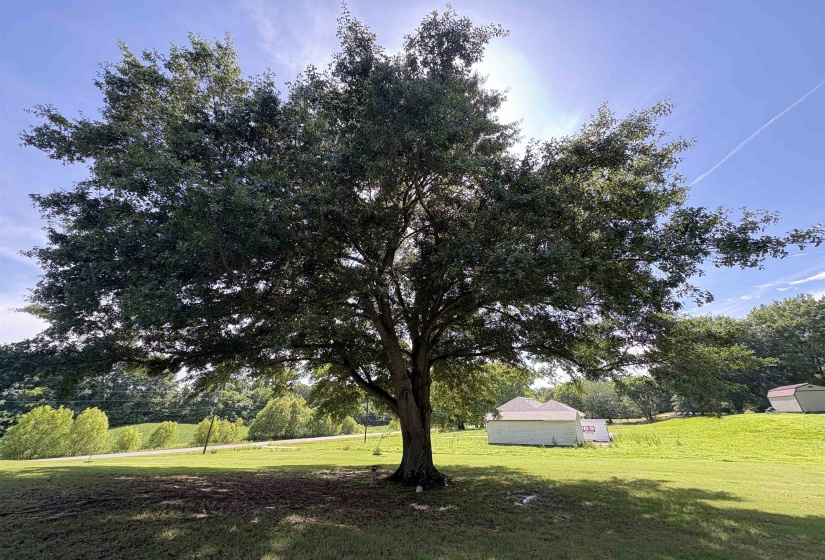 597 WEST DR, Munford, Tennessee 38058, 4 Bedroom Bedrooms, 7 Room Rooms,3 BathroomBathrooms,Residential,For Sale,WEST,0,10223359