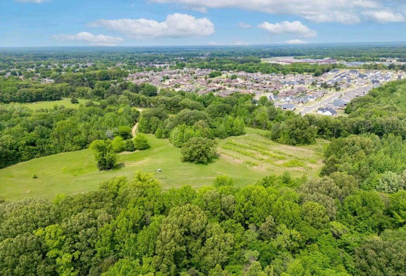 Bird's eye view featuring a forest view