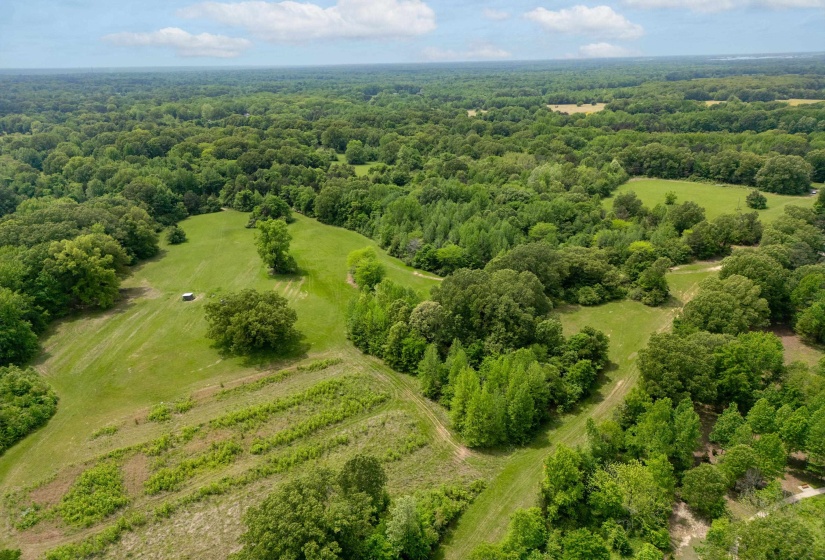Bird's eye view featuring a forest view