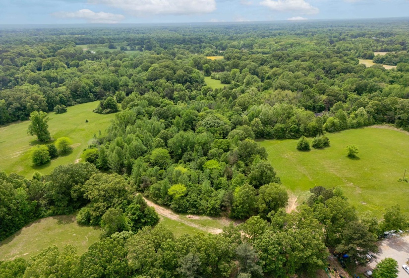 1492 SYCAMORE RD, Collierville, Tennessee 38017, ,Land,For Sale,SYCAMORE,10223367