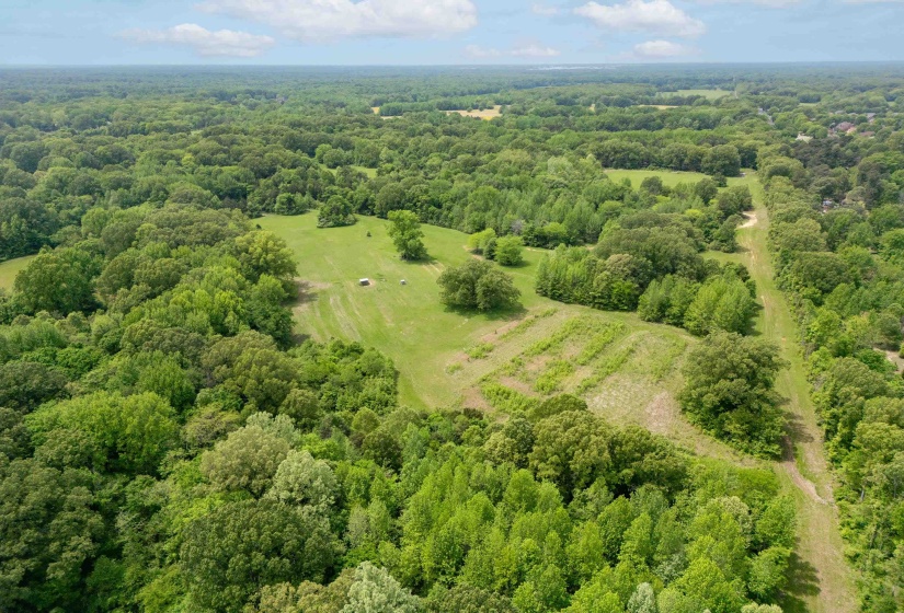 Aerial view with a forest view