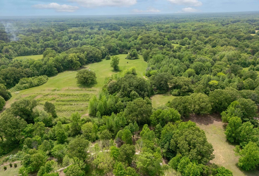 Bird's eye view featuring a view of trees