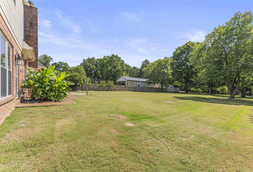 Expansive grassy yard featuring mature trees, a wooden privacy fence, and a detached storage shed
