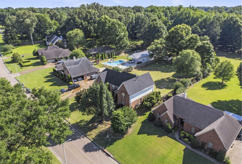 Brick residence featuring a prominent front entrance, expansive green lawns, mature trees, and a paved driveway