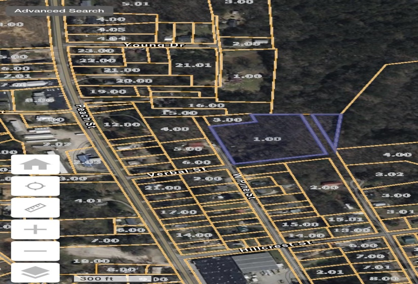 PINE ST, Selmer, Tennessee 38375, ,Land,For Sale,PINE,10223378