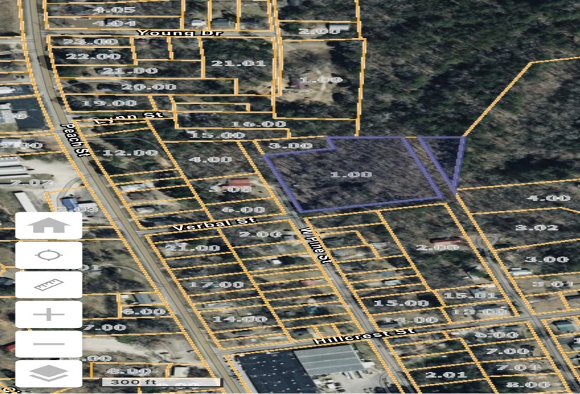 PINE ST, Selmer, Tennessee 38375, ,Land,For Sale,PINE,10223378