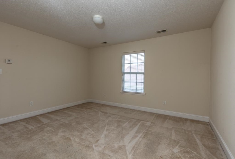 Carpeted room featuring a single window with horizontal blinds, neutral wall paint, white trim, and a ceiling-mounted light fixture